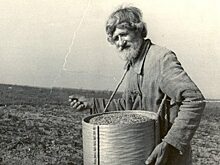 Какие русские фамилии считаются самыми древними