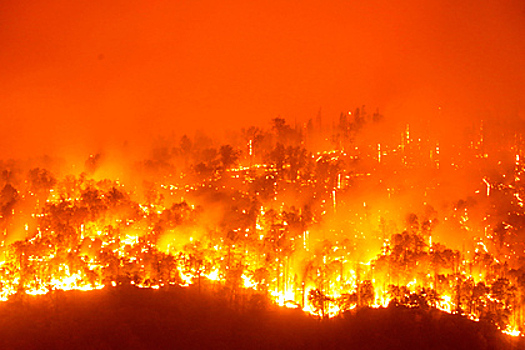 ООН предупредила о катастрофических пожарах по всему миру