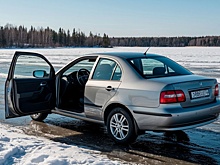 В Челябинской области нашли тела сына и отца провалившихся под лед водоема