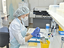 Потери экономики огромны: пренебрегать защитой от COVID-19 нельзя