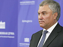 Глава Госдумы нашёл оправдание для пнувшего в живот женщину силовика