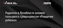 Родители в Ленобласти активно пользуются суперсервисом «Рождение ребенка»