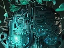 МСХ РФ запустит ряд программ для обучения IT- специалистов на базе аграрных вузов