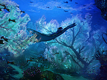 Первые кадры фильма «Аватар: Путь воды» оказались в сети