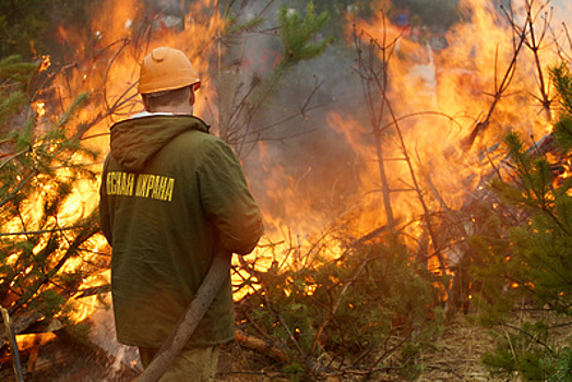 Семь лесных пожаров ликвидировали за сутки в Подмосковье