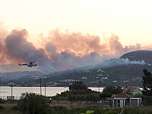 В Греции из-за лесных пожаров эвакуируют туристов