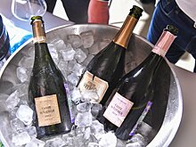 Минздрав не поддерживает идею продажи алкоголя онлайн