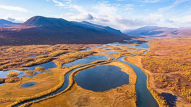 В Финляндии задумались о восстановлении болот для обустройства обороны