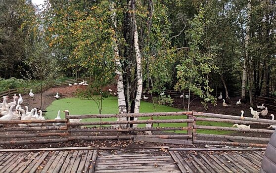 «Гусиную столицу» в Костромской области проверили на исполнение грантовых обязательство по туризму