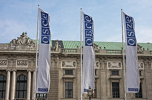 Председательство ОБСЕ запустило отбор кандидатов на должность генсека и глав институтов