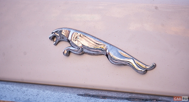 Jaguar полностью прекратит производство автомобилей с ДВС еще до начала выпуска электромобилей