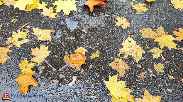 27 сентября погода не порадует жителей Пензенской области