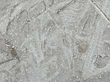 Мороз до -37 градусов: в Новосибирске рассказали о самом холодном Дне защитника Отечества