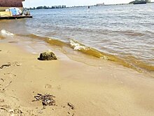 Гарафутдин Хисамутдинов: "Опасная затея угрожает не только кладбищу "Бишбалта", но и части города"