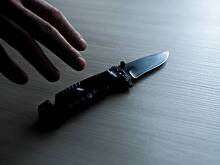 В Петербурге мужчина по имени Махач угрожал ножом оператору фиксации нарушений