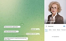 В Рязани мошенники в Telegram представились главой гордумы Татьяной Панфиловой