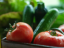 Диетолог рассказала о пользе огурцов и помидоров для сосудов