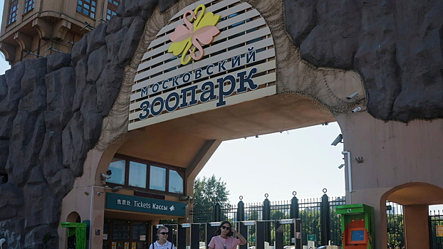 В Московском зоопарке родились восемь дагестанских туров