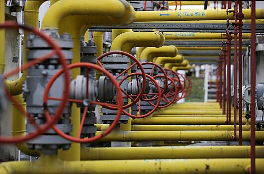 Планы европейской страны отказаться от российского газа оценили