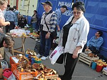 Почему рынок дикоросов в Омской области остается свободным