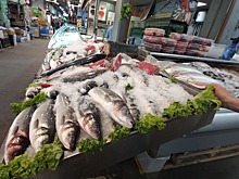 Названа самая подешевевшая рыба в России