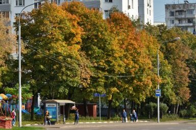 Обесточенные дома во Владивостоке подключили к дизель-генераторам