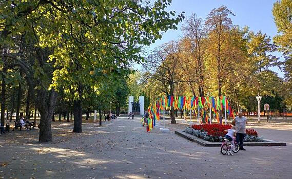 В Курске в парке Бородино в 2025 году построят трибуну и летнее кафе