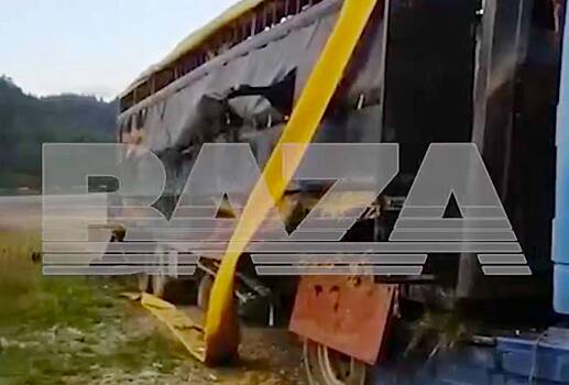 В российском регионе перевернулась фура с лошадьми