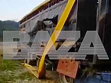 В российском регионе перевернулась фура с лошадьми