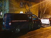 Следствие усомнилось во вменяемости подозреваемой в убийстве девочки из Вологды