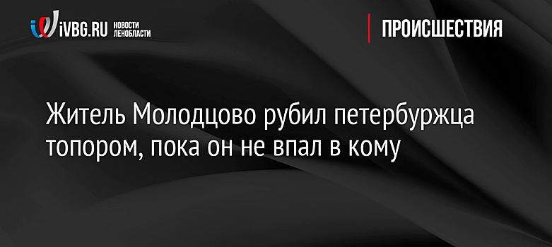 Житель Молодцово рубил петербуржца топором, пока он не впал в кому