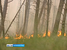 В Калининградской области бушует пожароопасный сезон