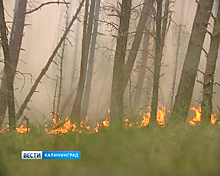 В Калининградской области бушует пожароопасный сезон
