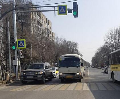 В Приморье водитель рейсового автобуса сбил насмерть пенсионерку на пешеходном переходе
