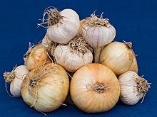 Хитрости, которые сделают лук вашим верным помощником