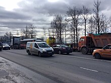 В Петербурге задержан координатор акции дальнобойщиков против «Платона»