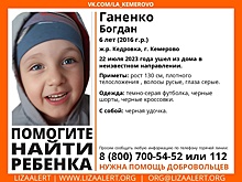 Шестилетний мальчик бесследно исчез в Кемерове