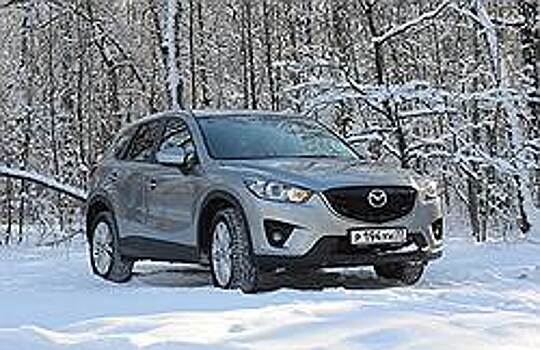 Люди нашего Kuga