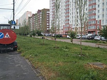 В Курске стали чаще поливать растения из-за жары