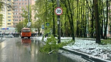 Майский снегопад повалил деревья и оборвал провода в Нижнем Новгороде