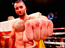 Гассиев вышел в полуфинал WBSS, Мачадо завоевал чемпионский титул
