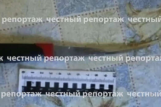 В Башкирии сестра напала с ножом на старшего брата