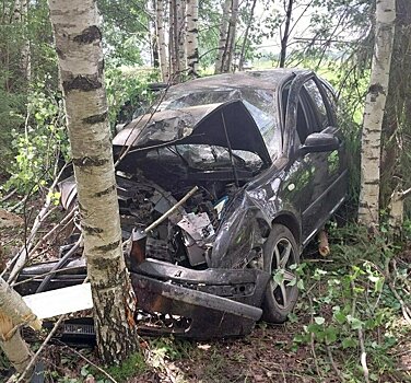 В Яранском районе женщина за рулем «Фольксвагена» проверила на прочность берёзу
