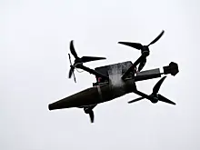 Российский FPV-дрон уничтожил разведывательный беспилотник ВСУ