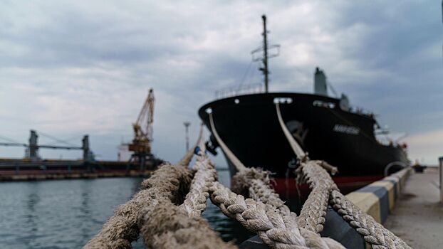 Порты Украины возобновили прием судов для экспорта зерна