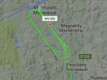 Названо число авиадебоширов в аэропортах Москвы