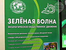 В Пензе создан экологический совет движения «Зеленая волна»