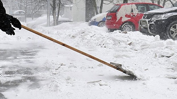 Саратовских учителей снова заставили убирать снег