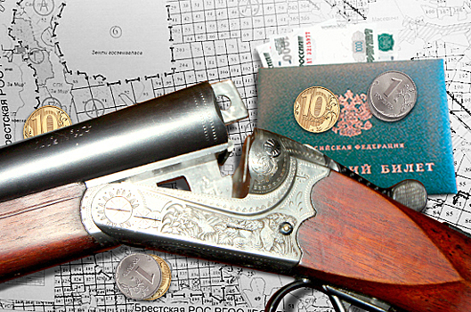 Правила выдачи лицензий на охотничьи ружья могут ужесточить