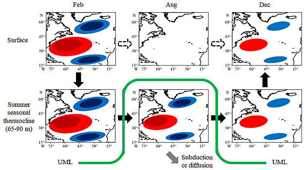 Холодные зимы удастся предсказывать на 16% точнее